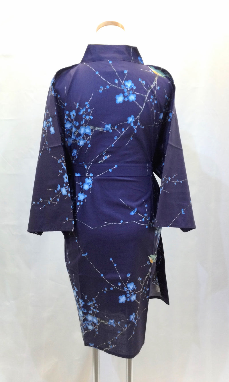HANTEN Plum and Warbler