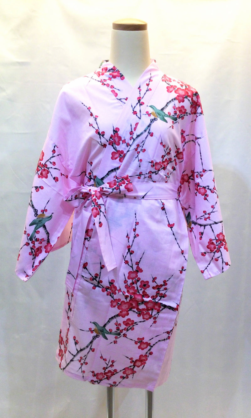 HANTEN Plum and Warbler