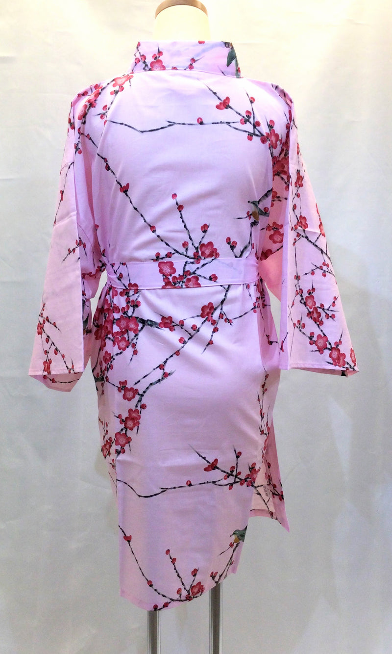 HANTEN Plum and Warbler