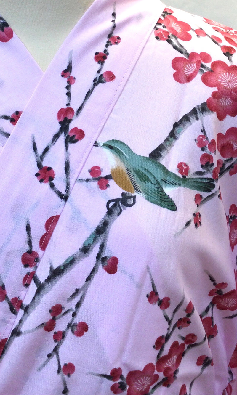 HANTEN Plum and Warbler
